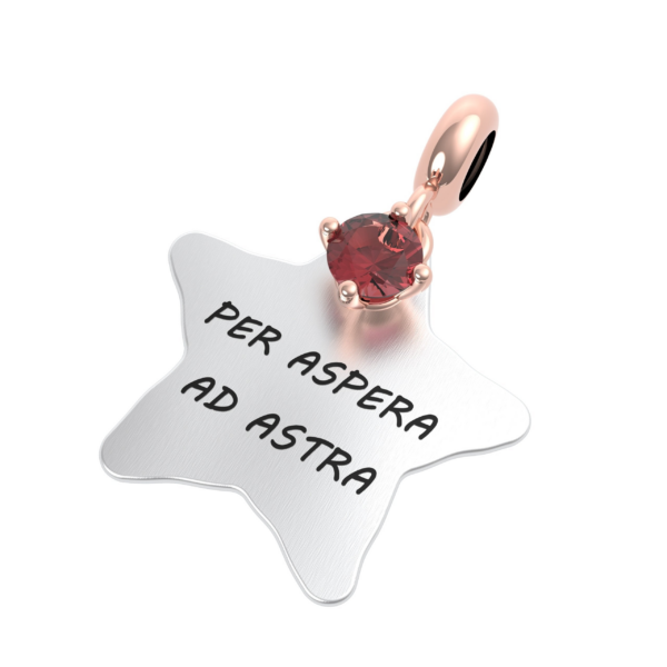 Per aspera ad astra