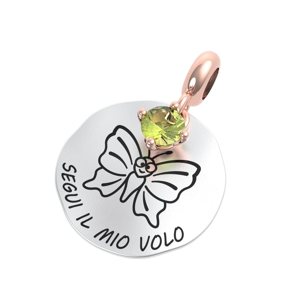 Segui il mio volo